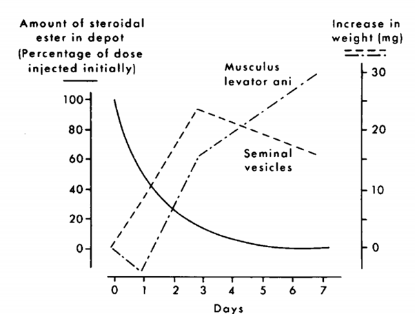 hershberger-assay-sucks-min.png