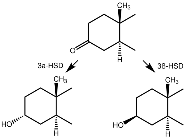 Reduction at carbon 3 of the A-ring